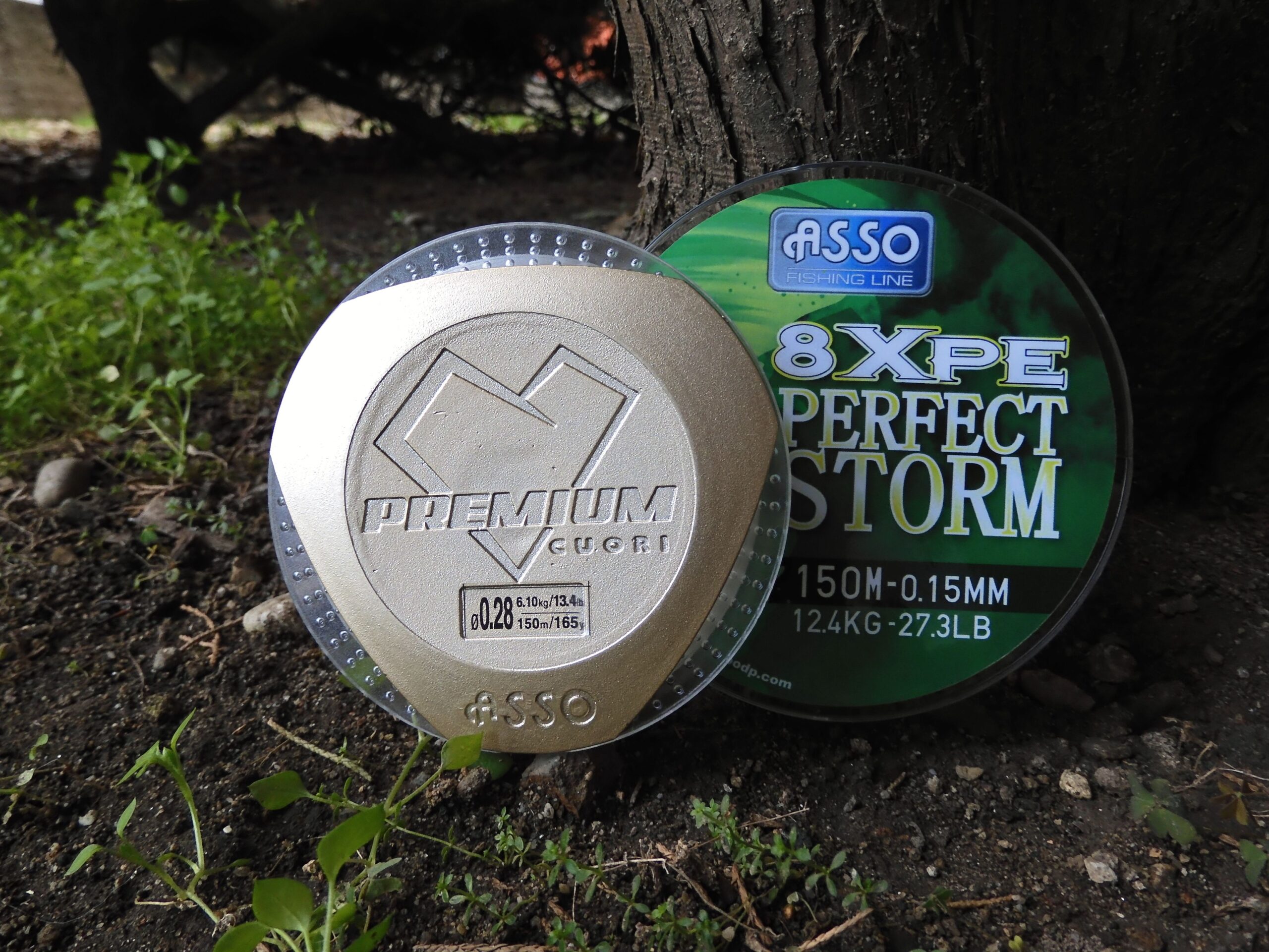jpeg-optimizer_Asso 8XPE Perfect Storm + Asso Premium Cuori Fluorocarbon